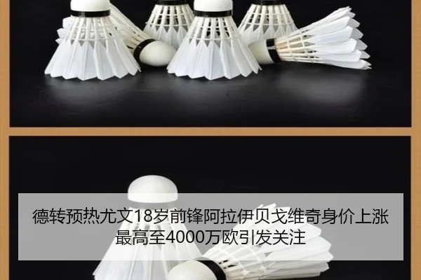 德转预热尤文18岁前锋阿拉伊贝戈维奇身价上涨最高至4000万欧引发关注